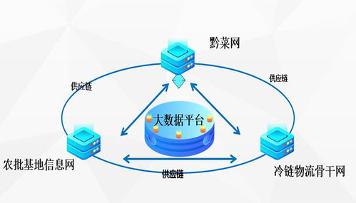 贵州现代物流产业集团携手雷数科技 助力农产品黔货出山